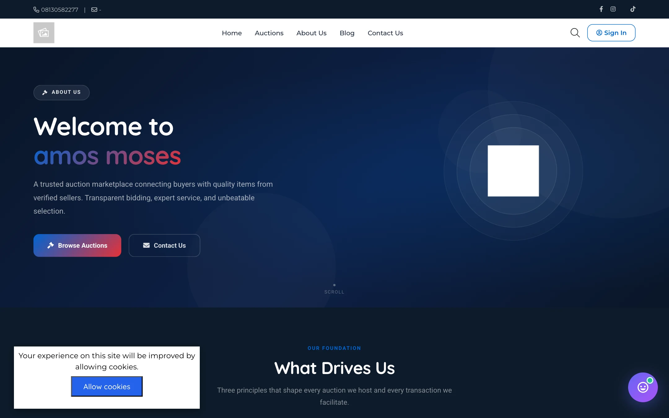 Classic - Auctions & Bidding Template